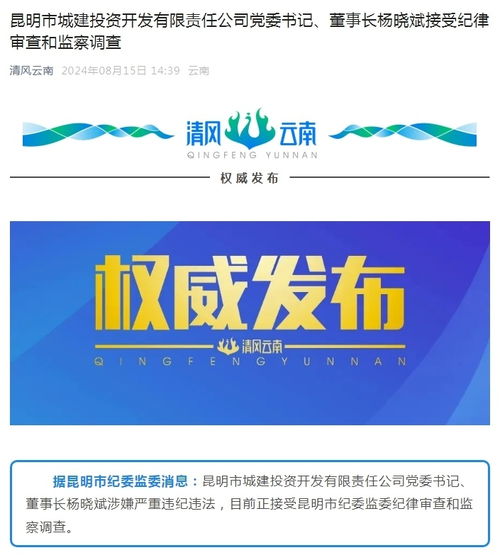 昆明城投董事长杨晓斌被查 审查咨询服务折射行业监管风向